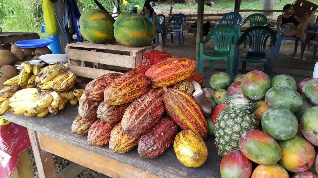 Hostal Maravilla Amazonica Ікітос Екстер'єр фото